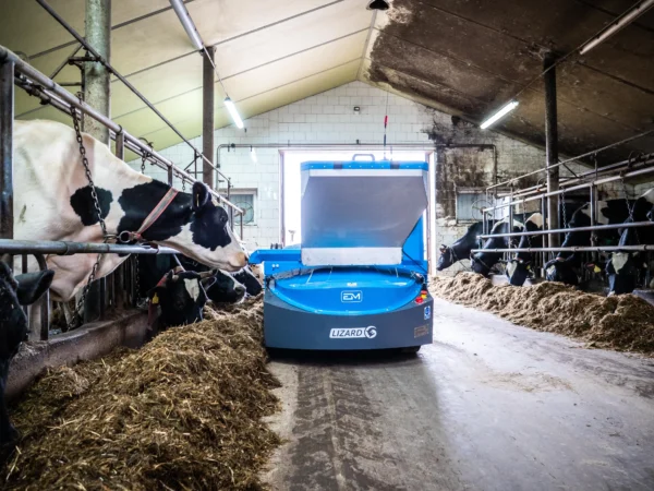 LIZARD